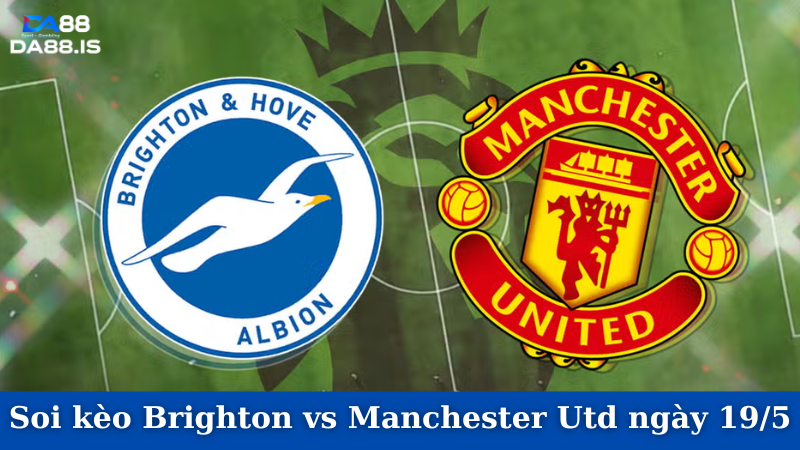 Brighton vs Manchester Utd
