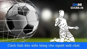 Cách tính kèo xiên bóng đá dễ hiểu nhất cho người mới chơi 