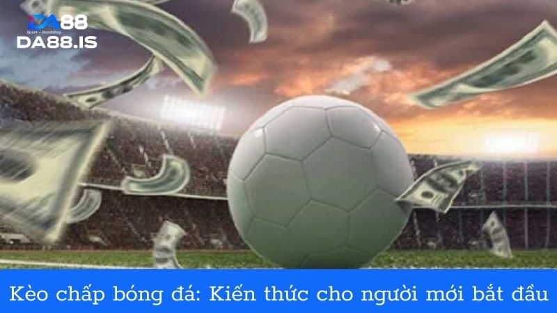 Kèo chấp bóng đá: Kiến thức cần thiết cho người mới bắt đầu